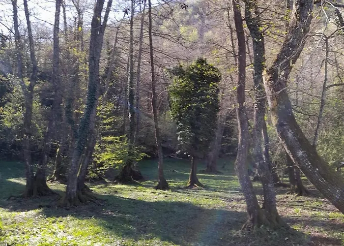 Casa Angiolino, Angolo Di Pace Vicino All'orrido Di Gea
