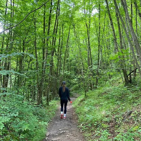 Casa Angiolino, Angolo Di Pace Vicino All'orrido Di Gea Apartamento