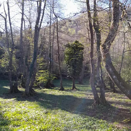 Casa Angiolino, Angolo Di Pace Vicino All'orrido Di Gea