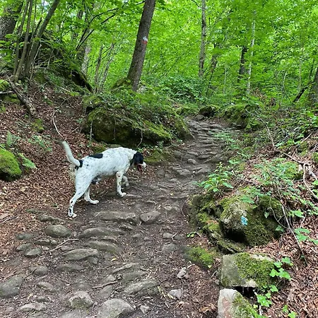 Casa Angiolino, Angolo Di Pace Vicino All'orrido Di Gea Appartement