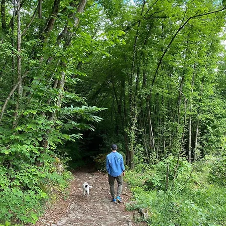 Casa Angiolino, Angolo Di Pace Vicino All'orrido Di Gea *
