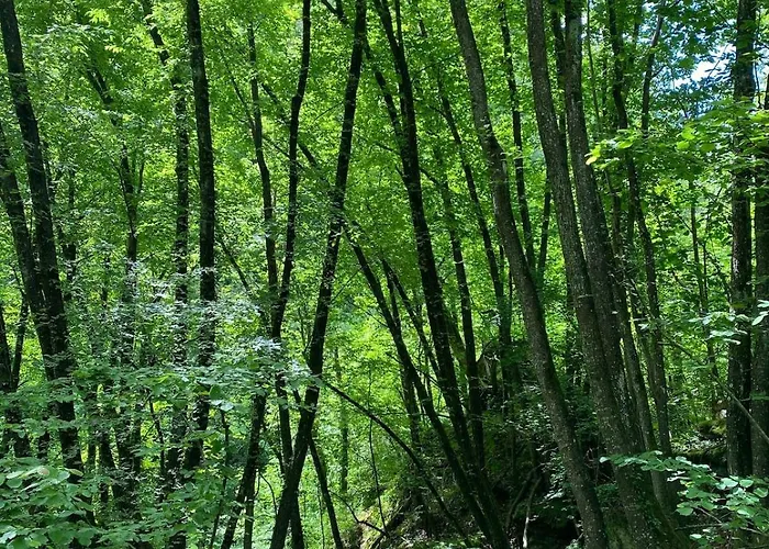 Διαμέρισμα Casa Angiolino, Angolo Di Pace Vicino All'orrido Di Gea *