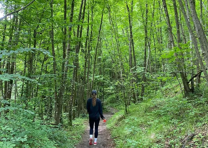 Casa Angiolino, Angolo Di Pace Vicino All'orrido Di Gea アパート