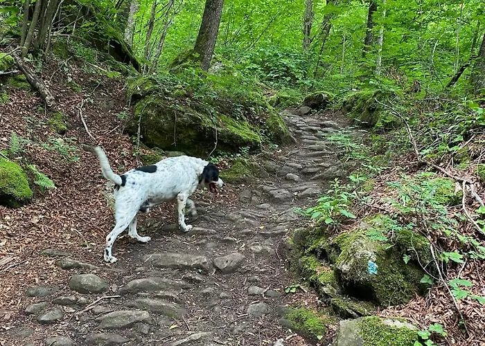 Casa Angiolino, Angolo Di Pace Vicino All'orrido Di Gea アパート